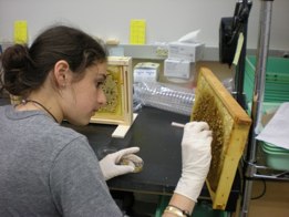 Jill woeking with frames